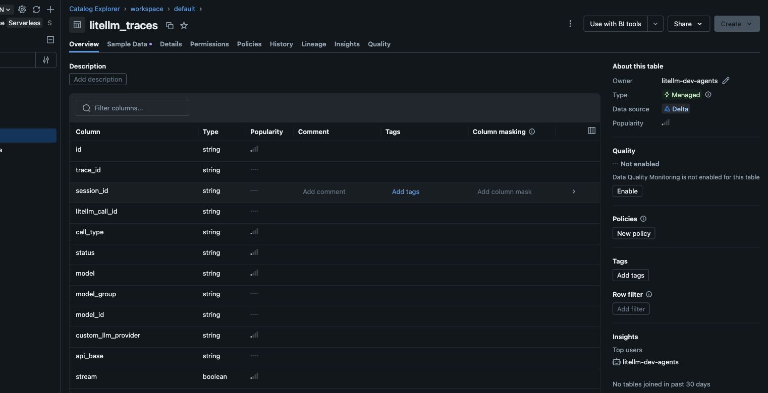LiteLLM traces 資料表與欄位定義在 Databricks Catalog Explorer 中的畫面